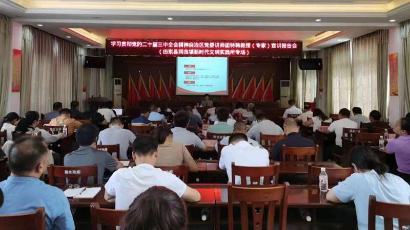 李银霞到田东县朔良镇开展党的二十届三中全会精神宣讲和乡村振兴  </br>                                                                                                                                     工作调研