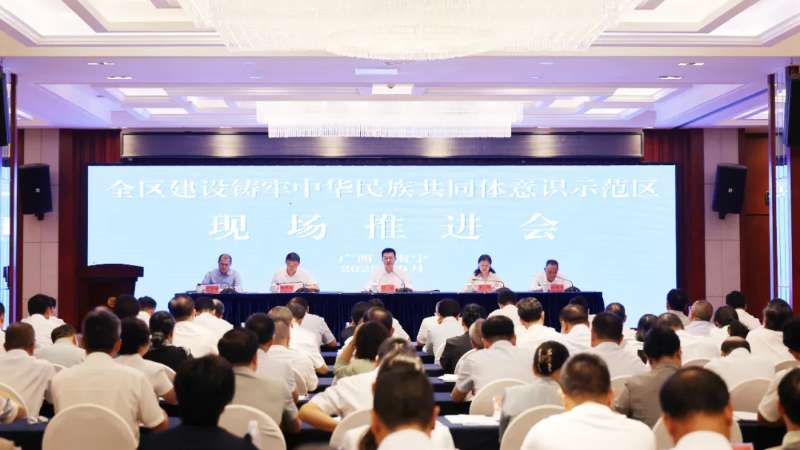 全区建设铸牢中华民族共同体意识示范区现场推进会在南宁召开 胡帆出席并讲话